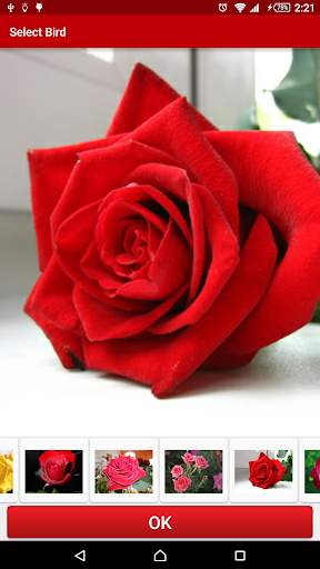 Flowers Live Wallpaper FREE screenshot 4