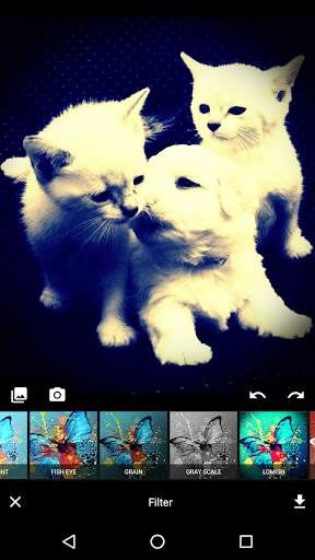 Image and Photo Editor - With Emojis & Filters screenshot 3