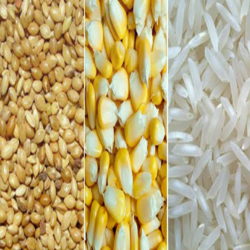 Low Cost Poultry Chicken Feed Formulation icon