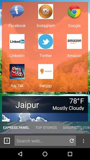 Bharat Browser screenshot 2