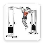 Fitness &amp; Bodybuilding app icon