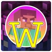 Mini World Craft For Video Guide