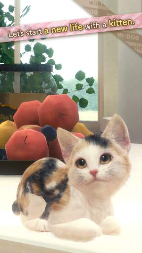 with My CAT screenshot 1