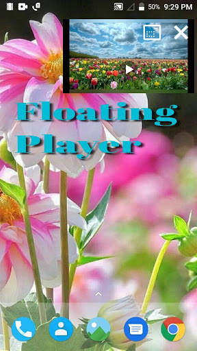 BSK Media Player screenshot 2