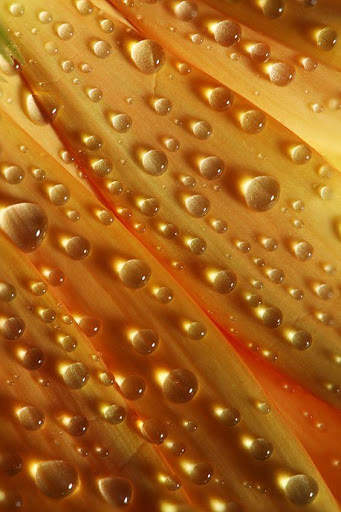 Drop Water Video Live Wallpaper screenshot 3