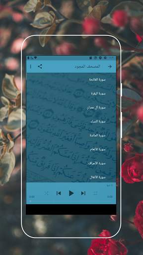 Muhammad Al-Minshawi - The Quran screenshot 3