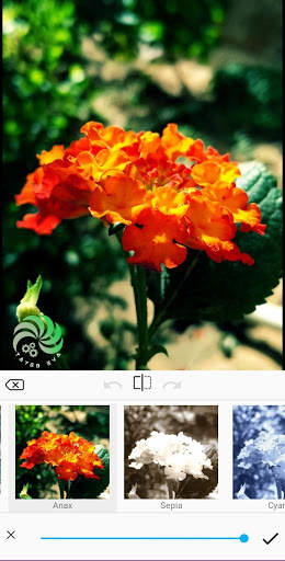 Photo Editor TE screenshot 2