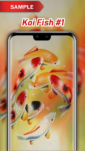 Koi Fish Wallpapers screenshot 2