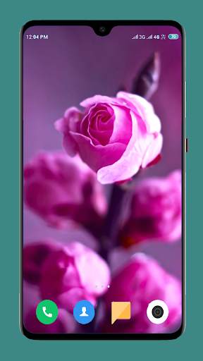 Flowers Wallpaper 4K 13 تصوير الشاشة
