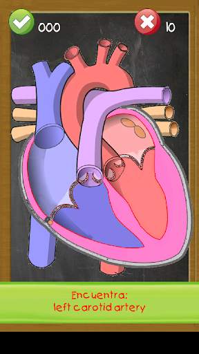 Aprender anatomia humana niños скриншот 2