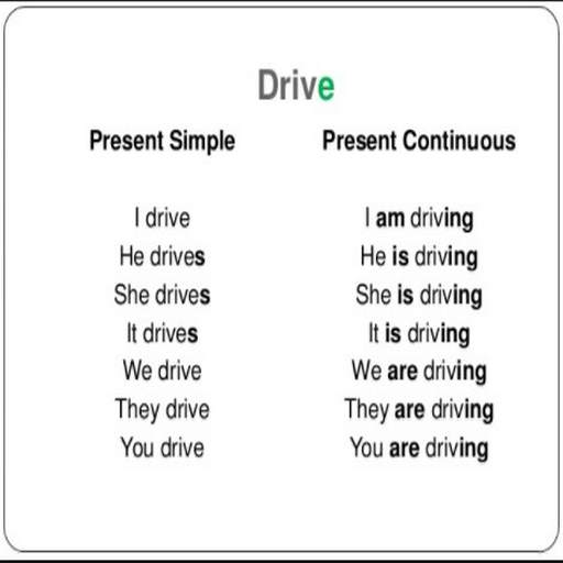Simple Present Tenses screenshot 1
