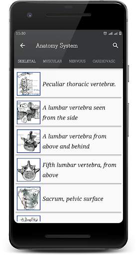 Human Anatomy [Offline] screenshot 2
