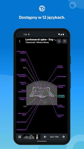 vet-Anatomy screenshot 7