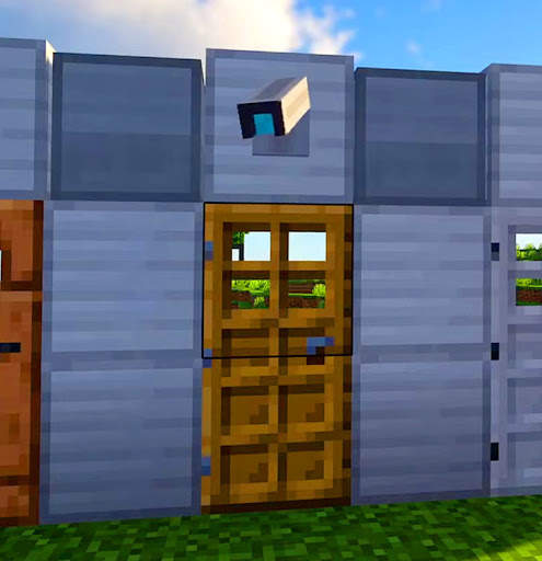 Mod Security Camera screenshot 1