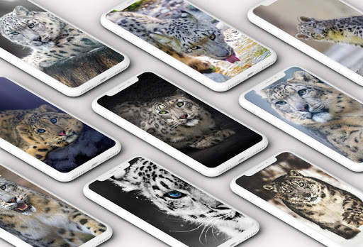 Snow Leopard Wallpaper screenshot 1