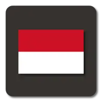 Lightning Launcher - Indonesia