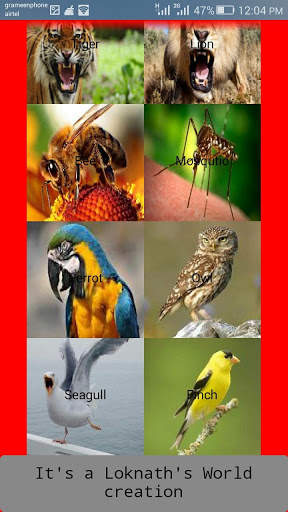 Talking Animals screenshot 3