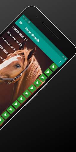 Horse Sounds and Ringtone free screenshot 2