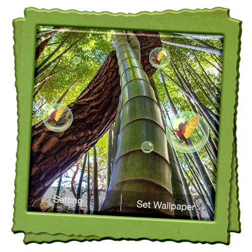 Bamboo Forest Live Wallpaper icon