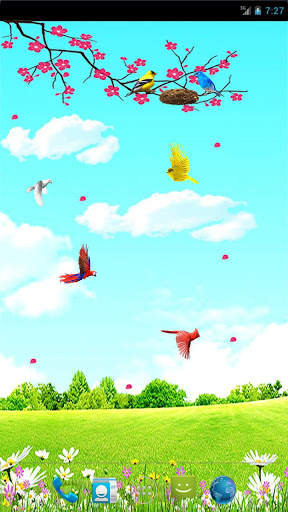 Sky Birds Live Wallpaper Free screenshot 1