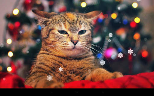 Xmas Cat Live Wallpaper screenshot 7