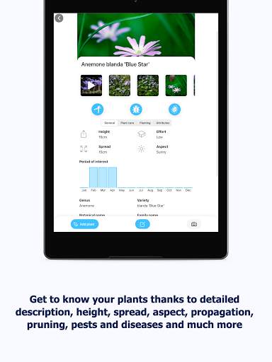 Right Plants screenshot 17