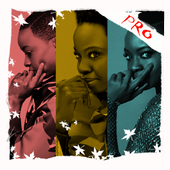 ikon Photo Collage Editor Pro - InstaCollage
