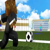 Soccer Mod  (Playing Football in Minecraft) 1.0