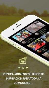 Dog Vivant - Planes con perros screenshot 5