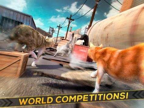 3D Cat Simulator Game For Free screenshot 6