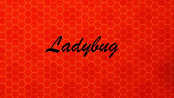 Ladybug Videos screenshot 1
