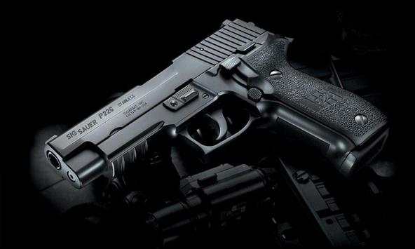 Pistols Wallpapers screenshot 2