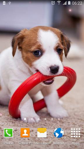Cute Animals Live Wallpaper screenshot 3
