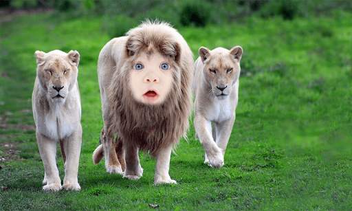Lion Face Photo Editor screenshot 9