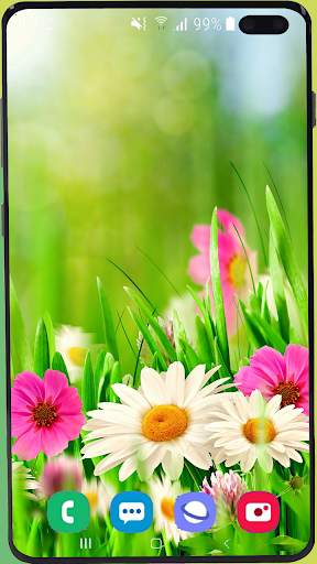 Flowers Wallpaper Best HD screenshot 4