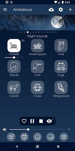 Ambience - Nature sounds: sleep and meditation screenshot 3