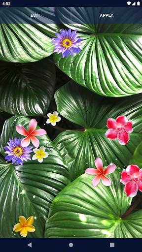 Tropical Exotic Live Wallpaper screenshot 6