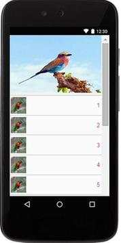 Birds Sounds स्क्रीनशॉट 2