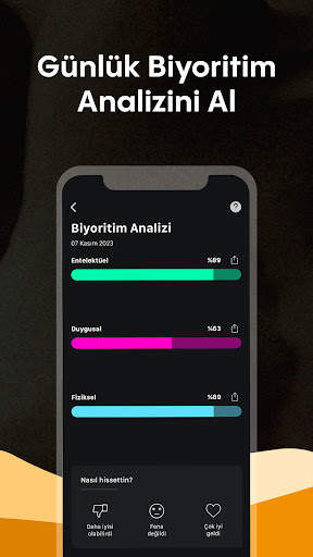 Faladdin screenshot 3