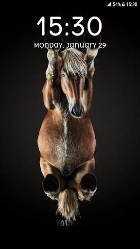 Horses Pattern Lock Screen 🐴 8 تصوير الشاشة
