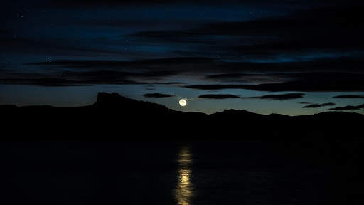 Moonlight Live Wallpaper : backgrounds hd screenshot 5