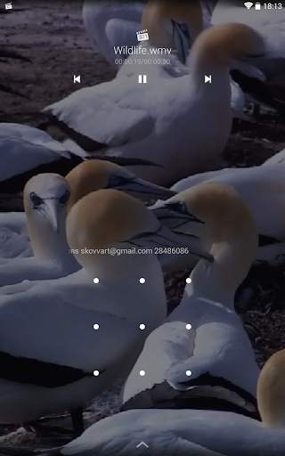 Media Player Classic Remote screenshot 11
