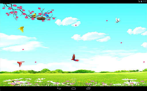 Sky Birds Live Wallpaper Free screenshot 9