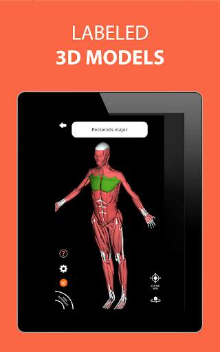 Human Anatomy Learning - 3D screenshot 9