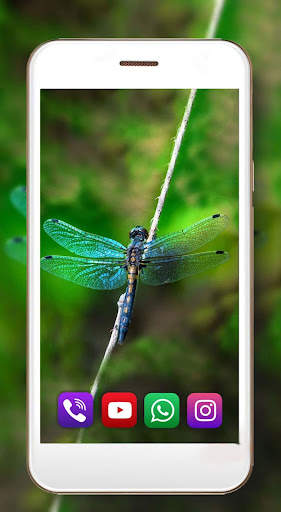 Dragonfly Live Wallpaper screenshot 4