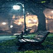 Rainy Garden Live Wallpaper 2