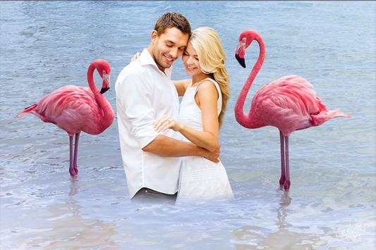 Flamingo Photo Editor screenshot 8
