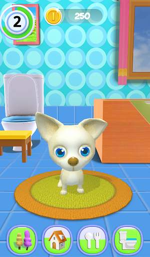 Talking Dog Chihuahua screenshot 14