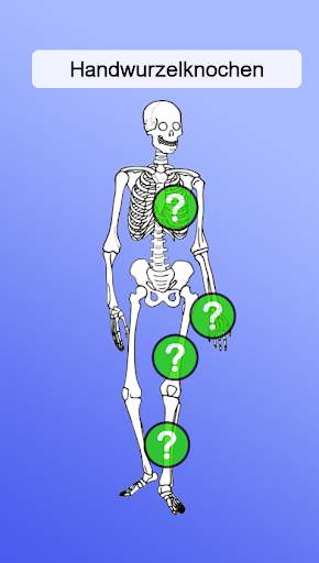 Anatomie Spiel screenshot 3