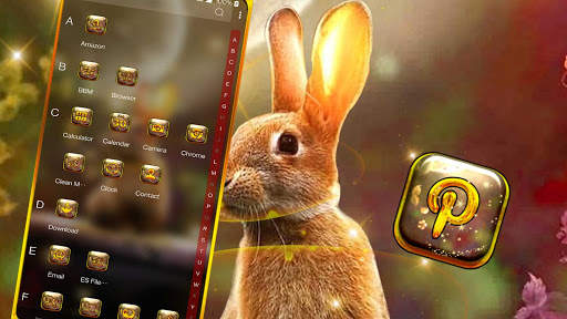 Rabbit in Space Launcher Theme screenshot 3